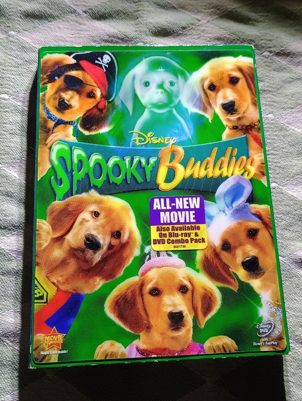 Spooky Buddies DVD 📀